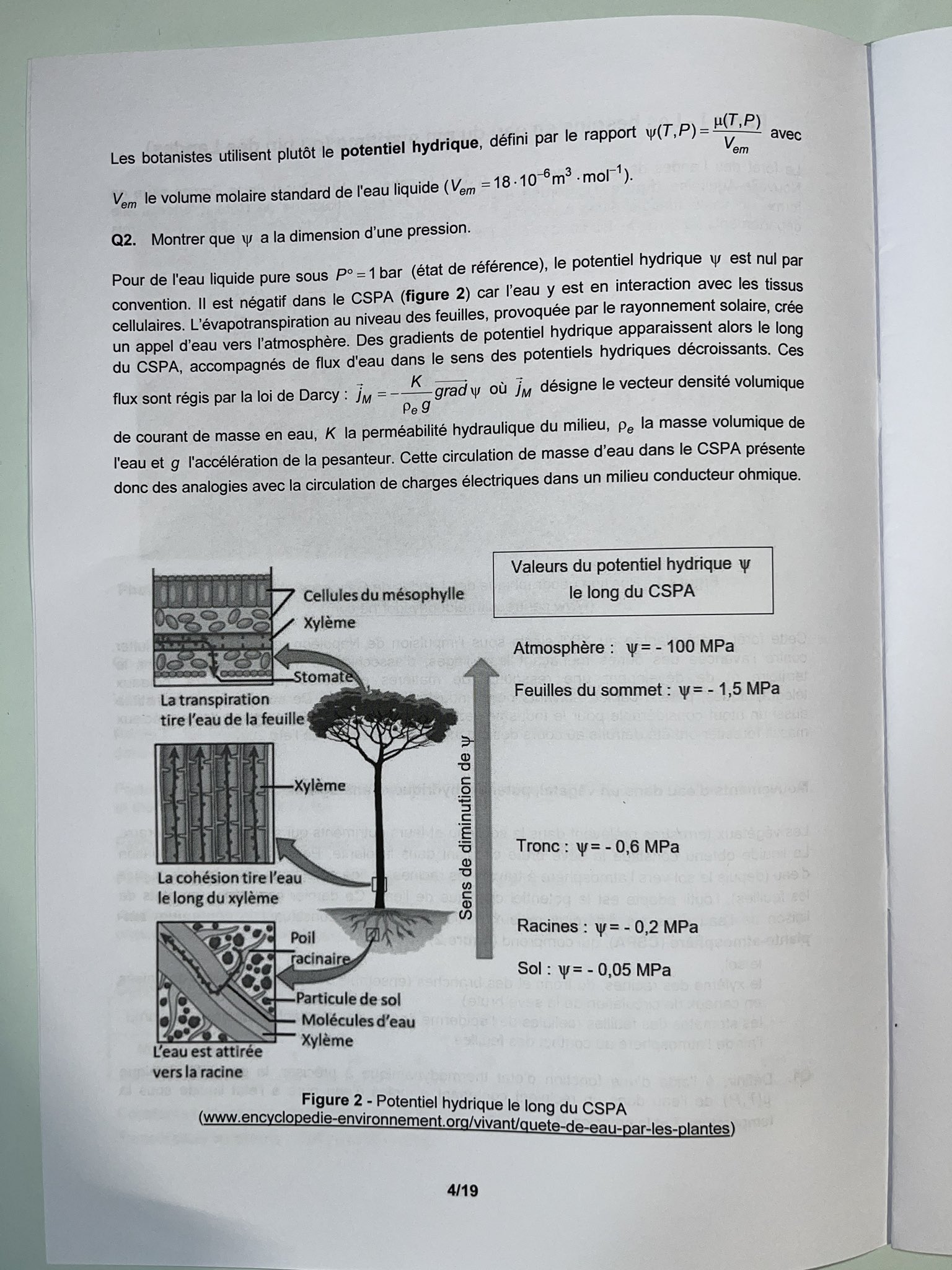 Physique_Chimie_MP_CCINP_page4