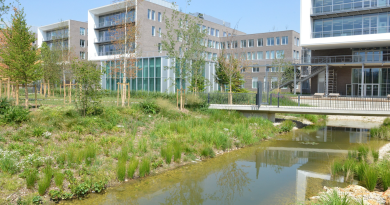 AGROPARISTECH DIRECTRICE DELEGUEE AFFAIRES AGRICOLES