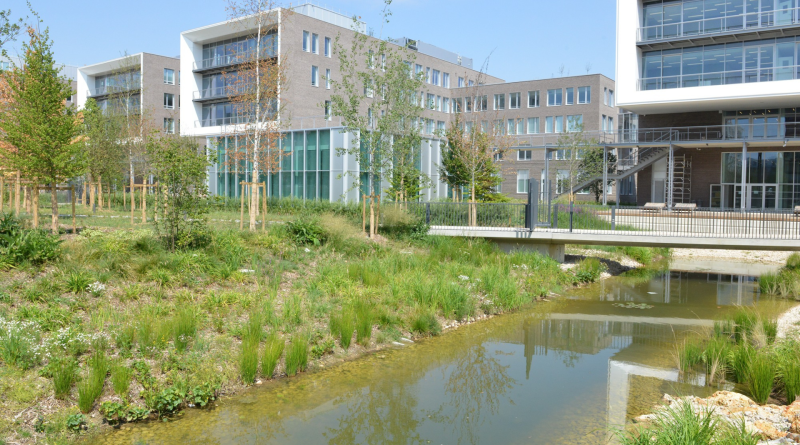 AGROPARISTECH DIRECTRICE DELEGUEE AFFAIRES AGRICOLES