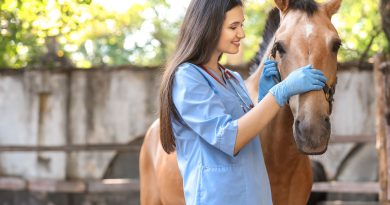 FORMATION METIERS ANIMALIERS TOUT SAVOIR