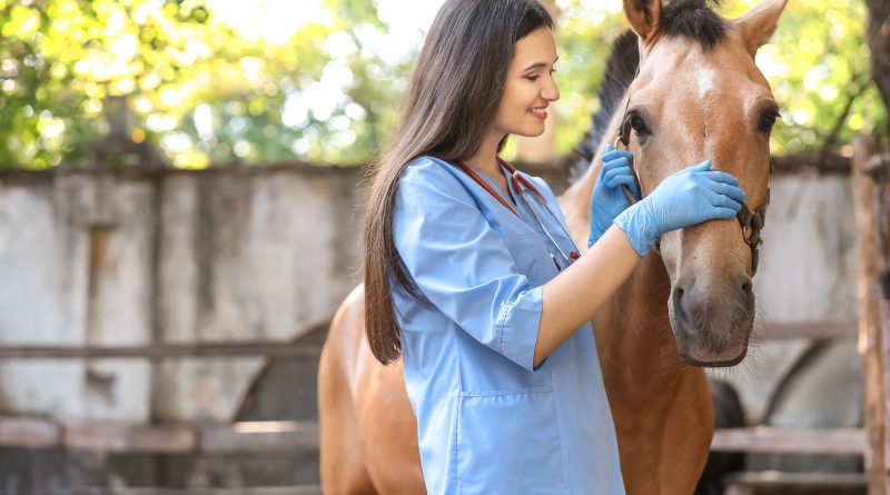 FORMATION METIERS ANIMALIERS TOUT SAVOIR